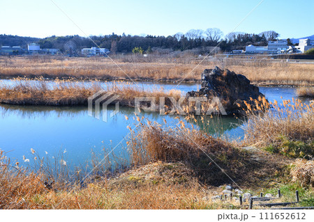 川風景 荒川本流 河原の冬景色 花園水辺公園付近 川風景 荒川本流 河原の冬景色 花園水辺公園付近 111652612