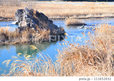 川風景 荒川本流 河原の冬景色 花園水辺公園付近 川風景 荒川本流 河原の冬景色 花園水辺公園付近 111652632