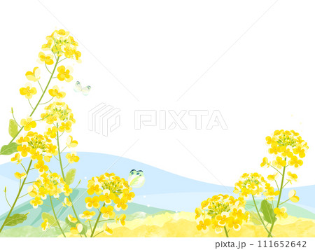 菜の花と青い空のフレームイラスト 111652642