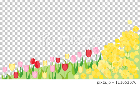 菜の花とチューリップの春の丘のカード　アスペクト比16：9バージョン 111652676