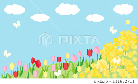 菜の花とチューリップと青空の春の丘のカード　アスペクト比16：9バージョン 111652711