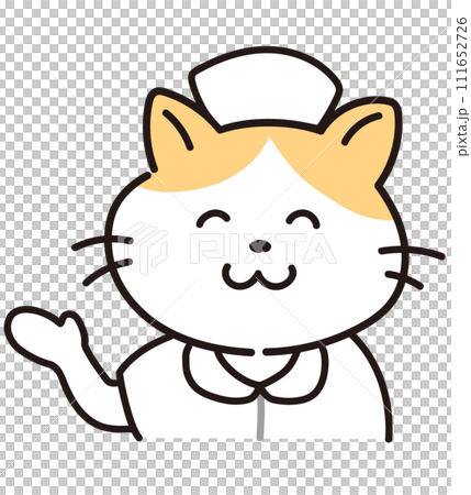 穿護士服的導盲貓/動物醫院 111652726