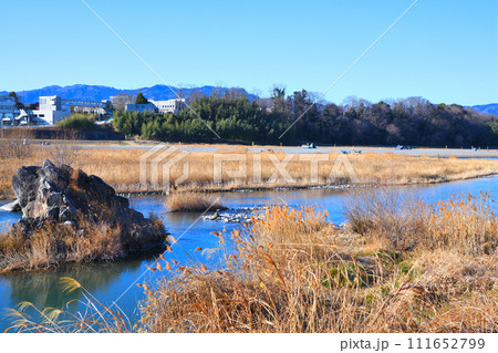 川風景 荒川本流 河原の冬景色 花園水辺公園付近 川風景 荒川本流 河原の冬景色 花園水辺公園付近 111652799