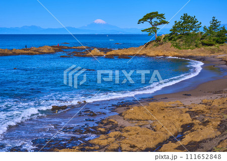 春の神奈川県横須賀市秋谷の立石(梵天の鼻)眺望 111652848