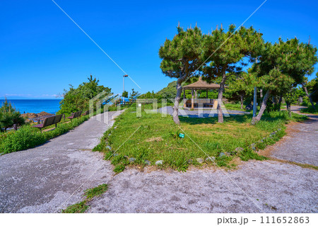 春の神奈川県横須賀市秋谷の立石公園の東屋 111652863