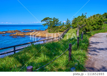 春の神奈川県横須賀市秋谷の立石公園から梵天の鼻方面を見る 春の神奈川県横須賀市秋谷の立石公園から梵天の鼻方面を見る 111652893
