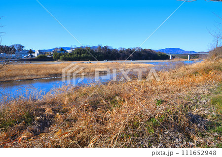 真冬の河原　荒川本流の冬景色　花園水辺公園付近からの眺め　　 111652948