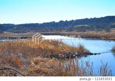 川風景 荒川本流 河原の冬景色 花園水辺公園付近 川風景 荒川本流 河原の冬景色 花園水辺公園付近 111653031