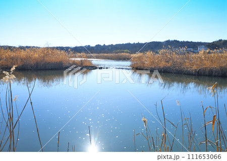 川風景 荒川本流 河原の冬景色 花園水辺公園付近 川風景 荒川本流 河原の冬景色 花園水辺公園付近 111653066