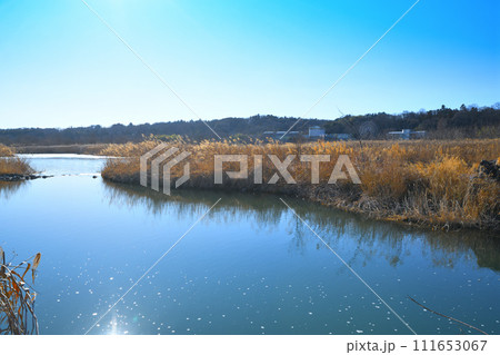 川風景　荒川本流　河原の冬景色　花園水辺公園付近 111653067