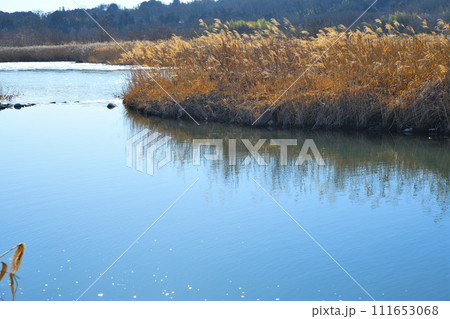 川風景　荒川本流　河原の冬景色　花園水辺公園付近 111653068