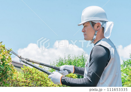 庭木を剪定する庭師・造園業・ガーデナー・植木屋・樹木屋の男性 111653335