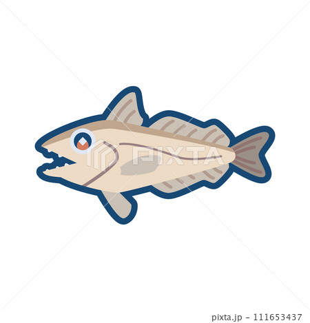 かわいいヒタチダラ（メルルーサ）のイラスト 111653437