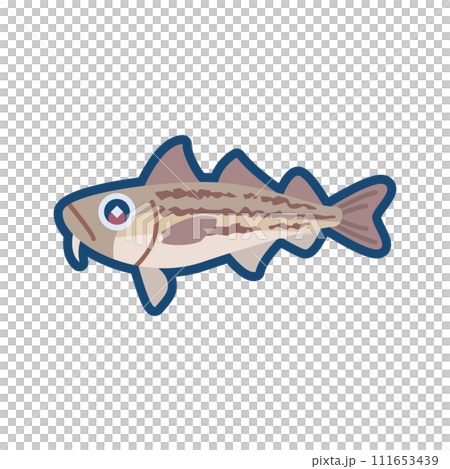 かわいいスケトウダラのイラスト 111653439