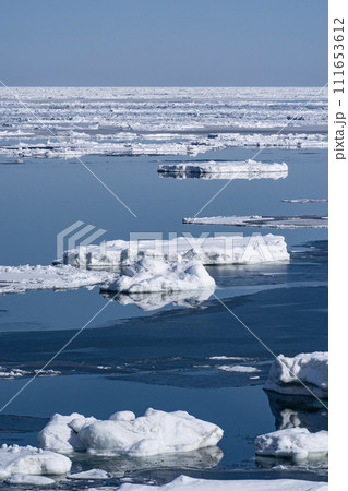 以久科原生花園の流氷 111653612