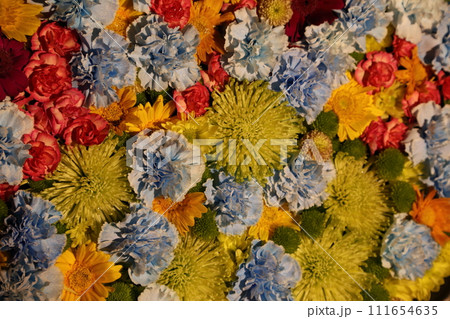 足利市の夜は冬になるとライトアップされて幻想的です 111654635