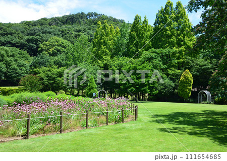 みかも山公園へ行きました　＃27 111654685