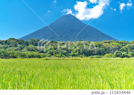 【農耕地と開聞岳】 撮影場所：鹿児島県指宿市開聞川尻 111654846