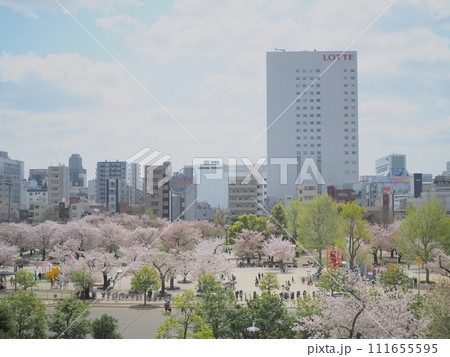 桜が満開の錦糸公園（俯瞰） 111655595