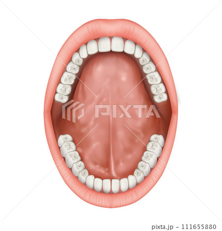 teeth braces, dentures, isolated on white 111655880
