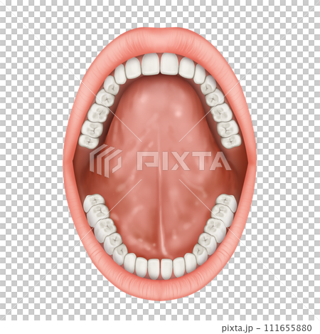 teeth braces, dentures, isolated on white 111655880