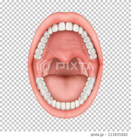 teeth braces, mirror, probe, with clipping path 111655882
