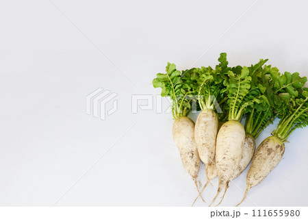 採れたての大根 111655980
