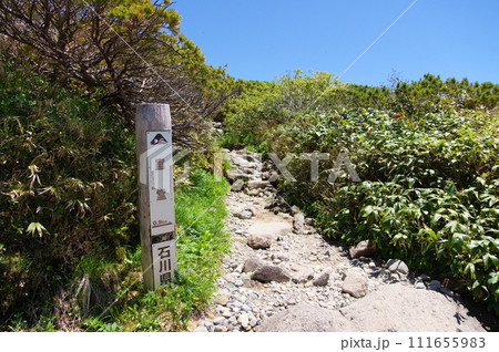 白山 黒ボコ岩から室堂への登山道 白山 黒ボコ岩から室堂への登山道 111655983