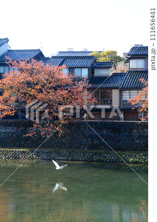 紅葉の金沢主計町 111656481