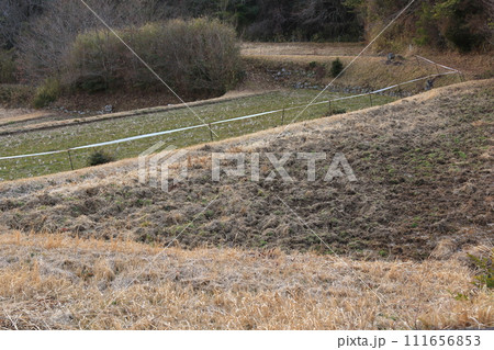 野生動物侵入防止電気柵と掘り起こされた土地 111656853