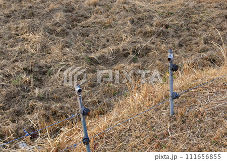 野生動物の侵入防止柵と掘り起こされた土地 111656855
