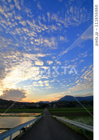 田植えの季節の田園風景 田植えの季節の田園風景 111656860