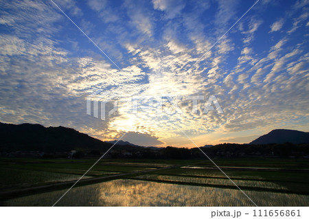 田植えの季節の田園風景 田植えの季節の田園風景 111656861