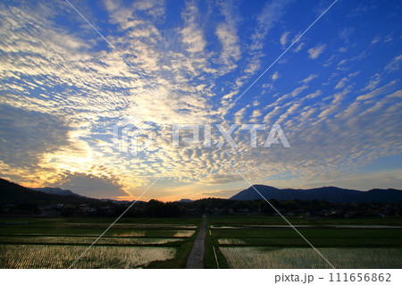 田植えの季節の田園風景 田植えの季節の田園風景 111656862
