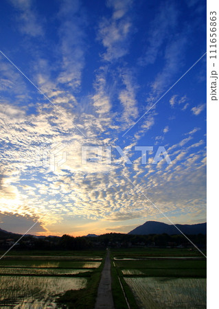 田植えの季節の田園風景 田植えの季節の田園風景 111656863