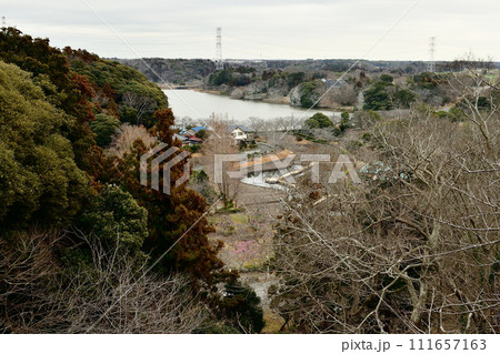 展望台から見た袖ヶ浦公園上池　袖ヶ浦公園　 111657163