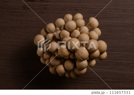 真上から見たブナシメジ 111657331