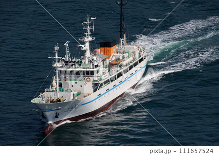 来島海峡大橋を通過する練習船 111657524