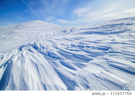 森吉山冬の絶景　シュカブラと山頂を望む　秋田県 111657768