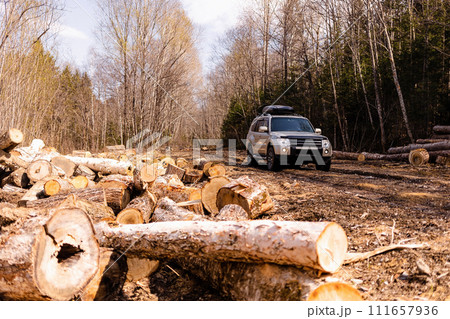 SUV on scenic autumn road in the forest near a log warehouse at the logging site 111657936
