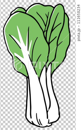 bok choy single color bok choy single color 111658234