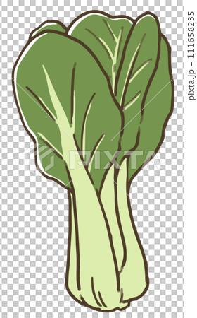 白菜 111658235