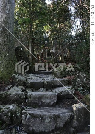 本宮山砥鹿神社奥宮天狗の寄木 111658353