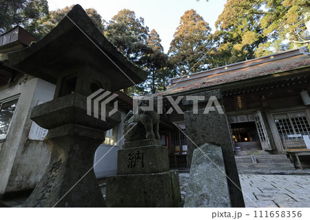 本宮山砥鹿神社奥宮狛犬 本宮山砥鹿神社奥宮狛犬 111658356