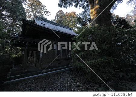 本宮山砥鹿神社奥宮 本宮山砥鹿神社奥宮 111658364