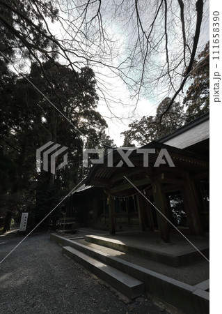 本宮山砥鹿神社奥宮天狗の寄木 111658390