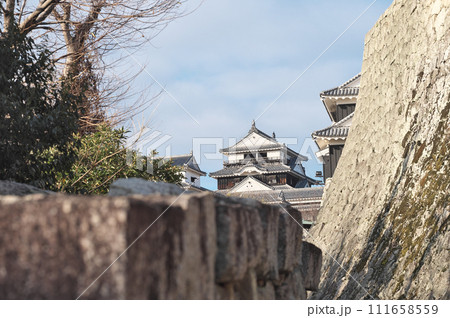 松山城 111658559
