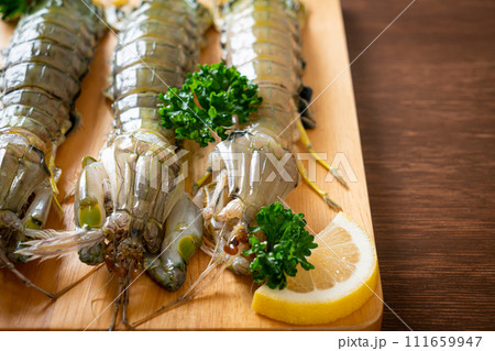 fresh mantis shrimp with lemon fresh mantis shrimp with lemon 111659947
