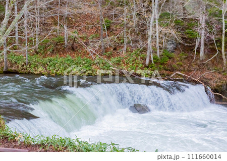 さくらの滝 111660014