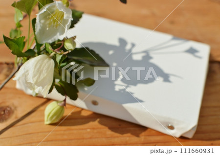 乳白色の冬咲きクレマチスの花とキャンバス　 111660931